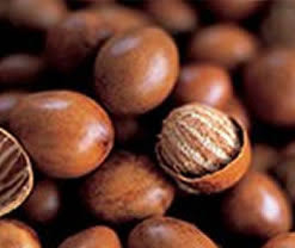 Shea nuts from Nigeria